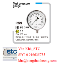 dong-ho-ap-suat-p229-series-test-pressure-gauge-wise-vietnam-stc-vietnam.png