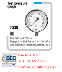 dong-ho-ap-suat-p239-series-euro-gauge-test-pressure-gauge-wise-vietnam-stc-vietnam.png