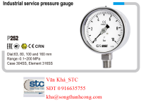 dong-ho-ap-suat-p252-series-euro-gauge-industrial-service-pressure-gauge-wise-vietnam-stc-vietnam.png