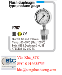 dong-ho-ap-suat-wise-p757-series-flush-diaphragm-type-pressure-gauge-wise-vietnam-stc-vietnam.png